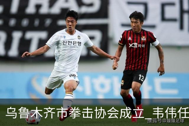 乌鲁木齐市拳击协会成立 韦伟任会长